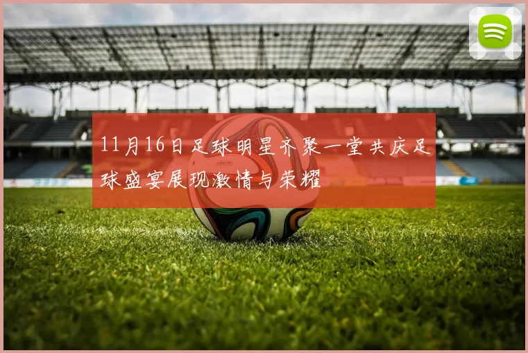 11月16日足球明星齐聚一堂共庆足球盛宴展现激情与荣耀
