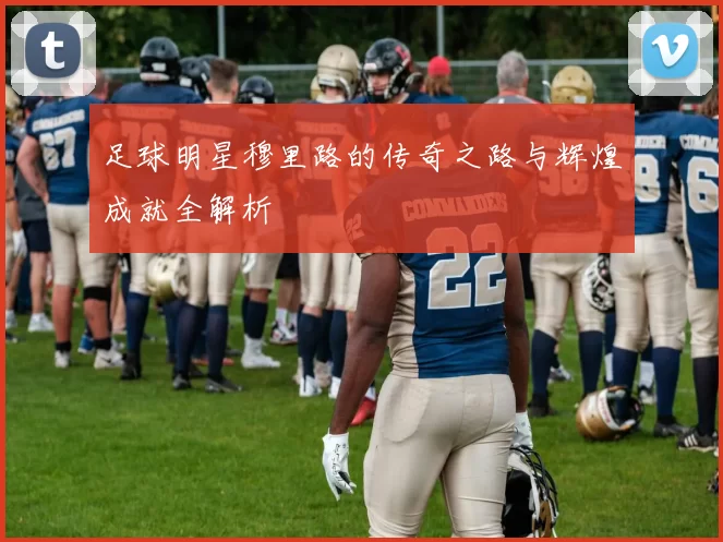 足球明星穆里路的传奇之路与辉煌成就全解析